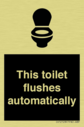 this-toilet-flushes-automatically~
